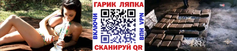 как найти   Анапа  Гашиш индика сатива 