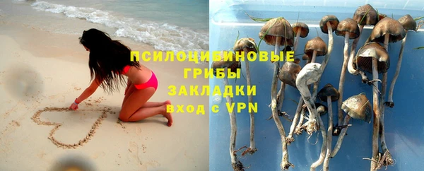 бошки Абдулино