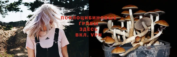 apvp Пролетарск