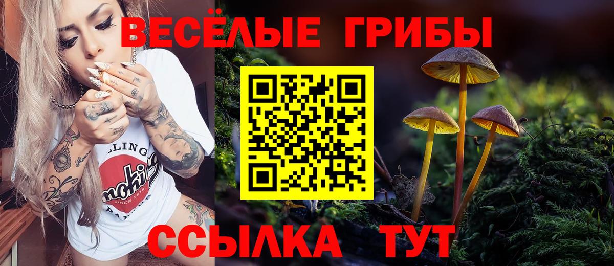 Псилоцибиновые грибы Psilocybine cubensis  Вход с VPN  Галлюциногенные грибы ЛСД  Анапа 